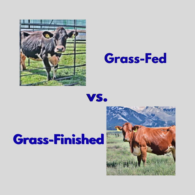 grass-fed beef grass-finished beef - Why Grass-Fed and Grass-Finished beef is the best choice for a healthy you and planet.