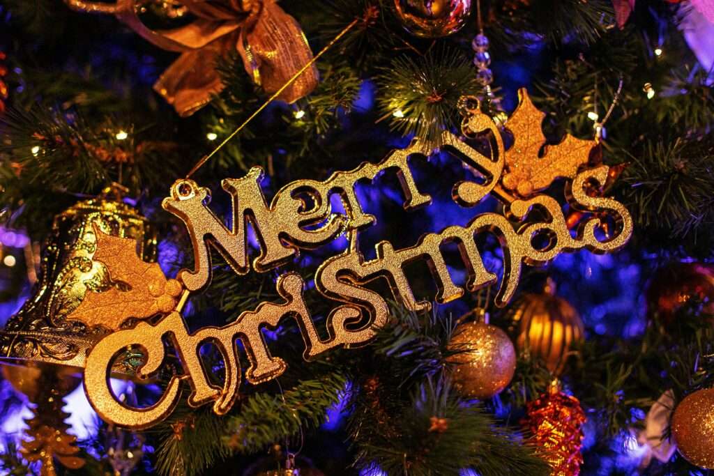 Season of Joy - Marry Christmas hanging on a tree.
