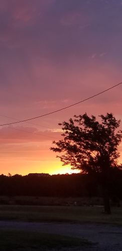Fun Secrets For Daily Life - Beautiful morning sunrise in Western Oklahoma at the family farm. 